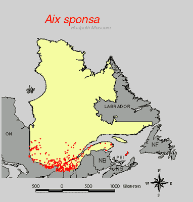 distribution map.jpg