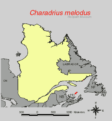 distribution map.jpg