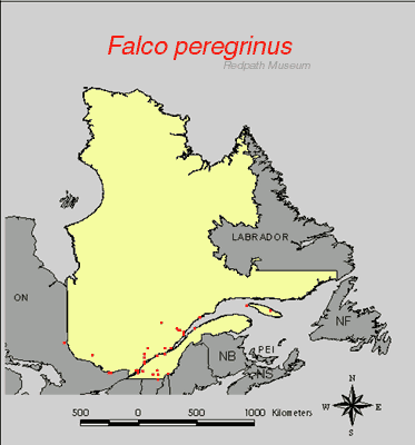 distribution map.jpg