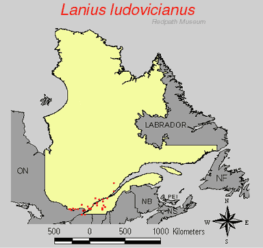 distribution map.jpg