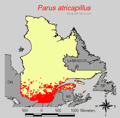 distribution map.jpg