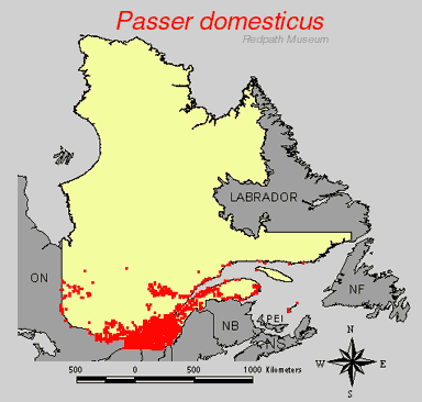 distribution map.jpg