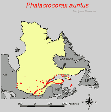 distribution map.jpg