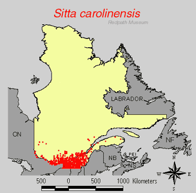 distribution map.jpg