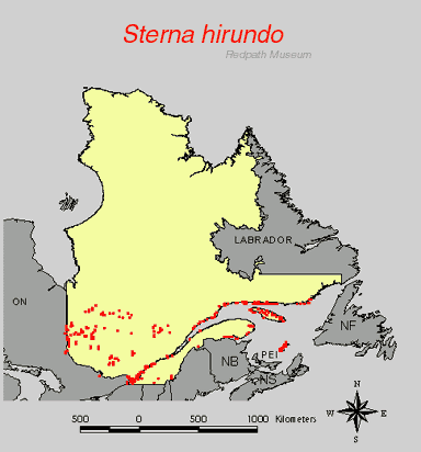distribution map.jpg