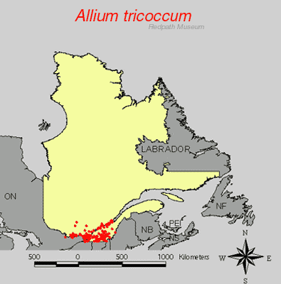 distribution map.gif