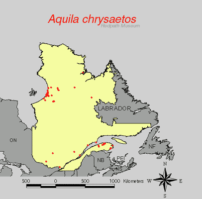 distribution map.gif