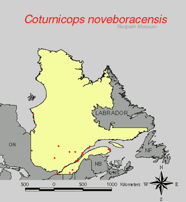 distribution map.gif