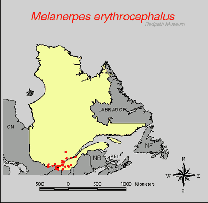 distribution map.gif