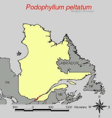 distribution map.gif