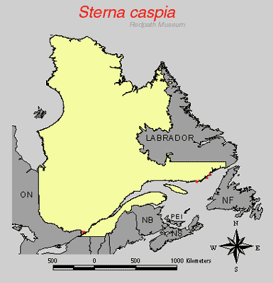 distribution map.gif