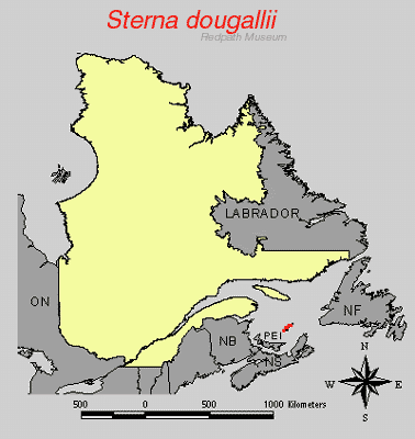 distribution map.gif