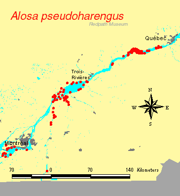 distribution map.gif