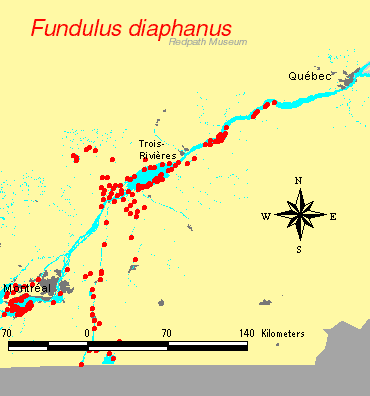distribution map.gif