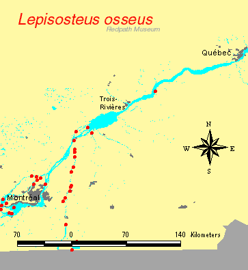 distribution map.gif