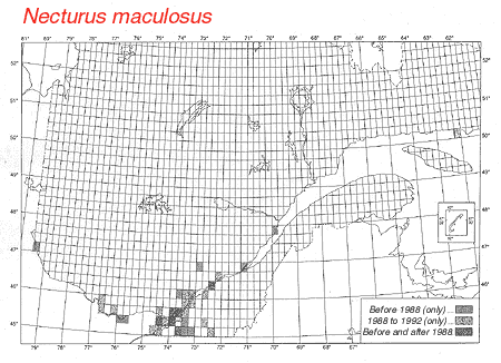 distribution map.gif