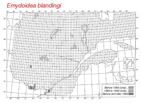 distribution map.gif