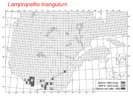 distribution map.gif