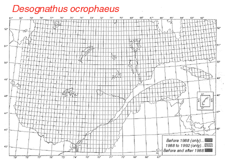 distribution map.gif