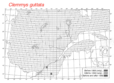 distribution map.gif