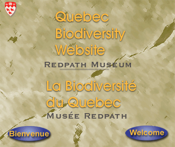 Qbp/indeximage_8bit.gif%20(58064%20bytes)