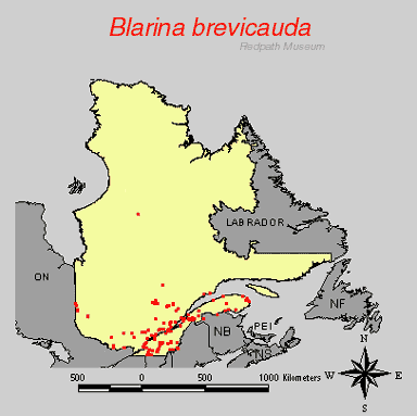 dsitribution map.gif