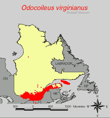 distribution map.gif