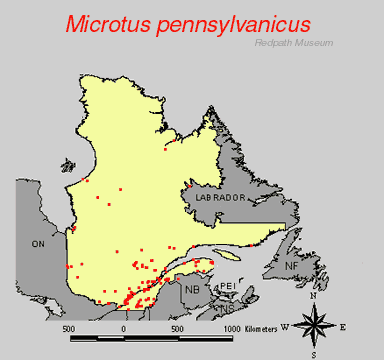 distribution map.gif