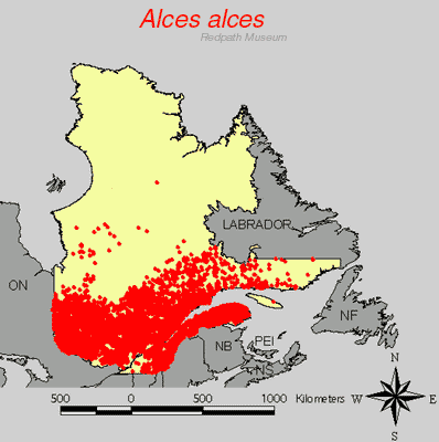 distribution map.gif