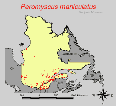 distribution map.gif