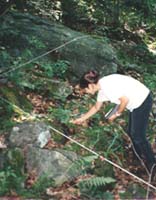 sampling ferns within a grid: Mt. St. Hilaire