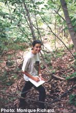 fern species survey at Mt. St. Hilaire